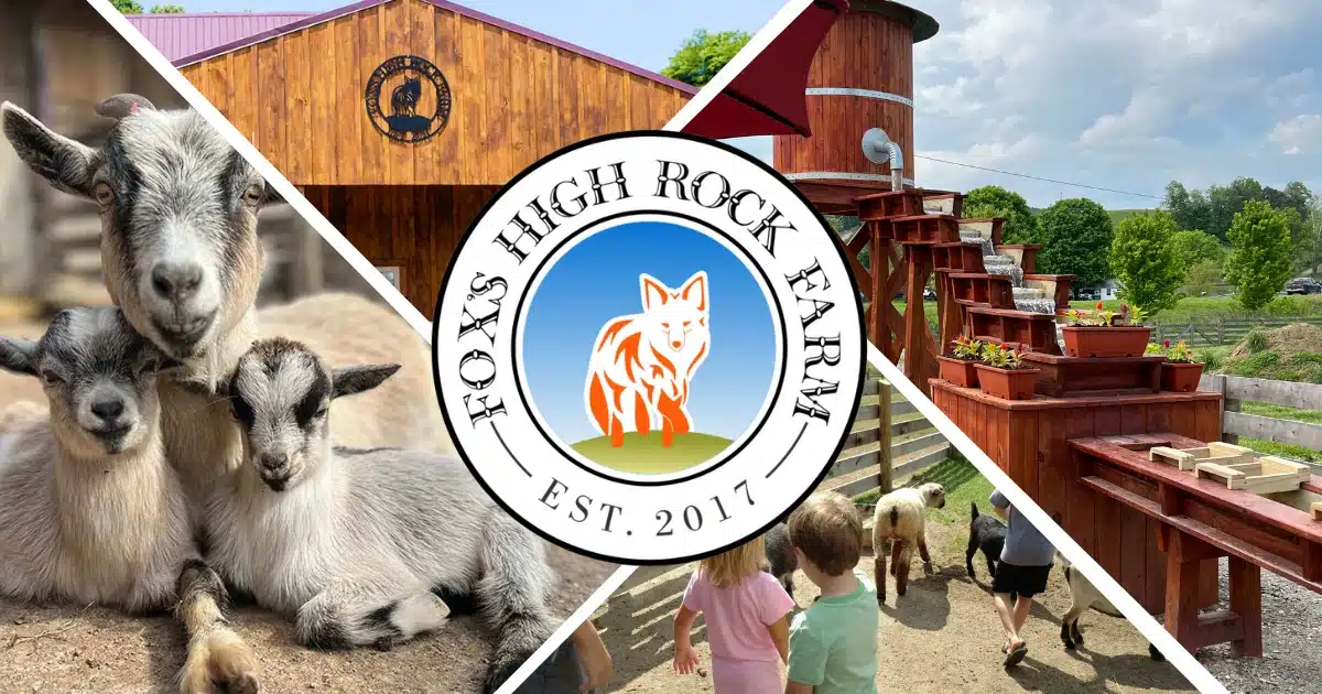 Fox's high rock farm collage