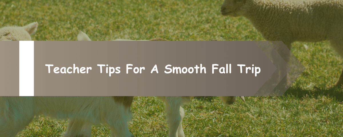 Teacher Tips For A Smooth Fall Trip